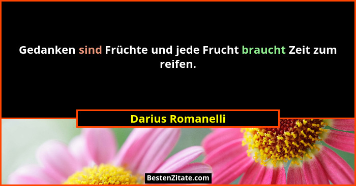Gedanken sind Früchte und jede Frucht braucht Zeit zum reifen.... - Darius Romanelli