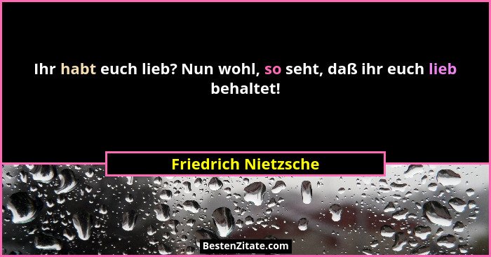 Ihr habt euch lieb? Nun wohl, so seht, daß ihr euch lieb behaltet!... - Friedrich Nietzsche