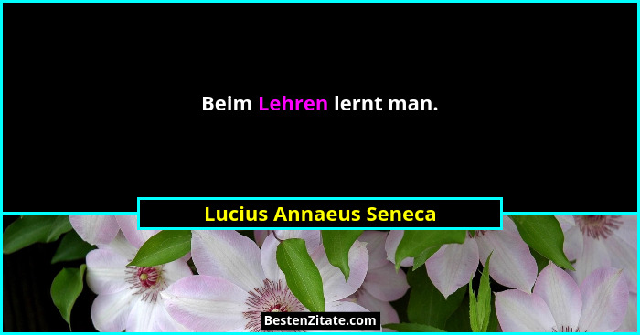 Beim Lehren lernt man.... - Lucius Annaeus Seneca