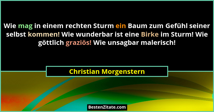 Wie mag in einem rechten Sturm ein Baum zum Gefühl seiner selbst kommen! Wie wunderbar ist eine Birke im Sturm! Wie göttlich g... - Christian Morgenstern