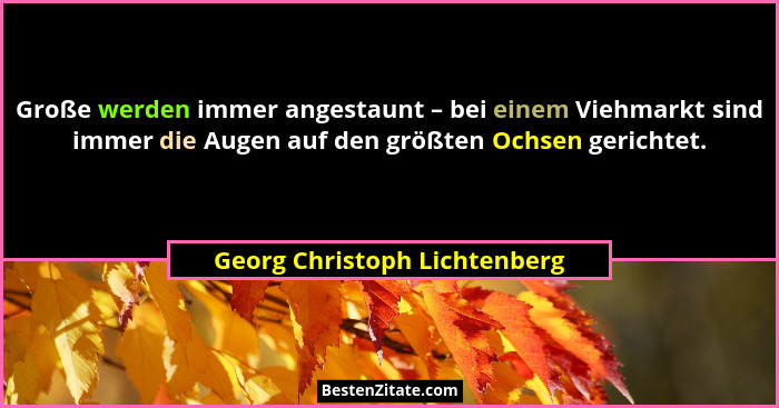Große werden immer angestaunt – bei einem Viehmarkt sind immer die Augen auf den größten Ochsen gerichtet.... - Georg Christoph Lichtenberg