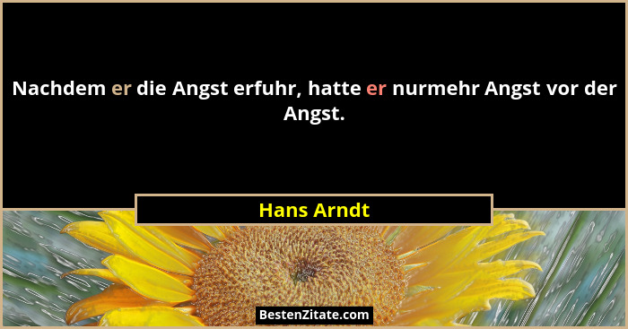 Nachdem er die Angst erfuhr, hatte er nurmehr Angst vor der Angst.... - Hans Arndt