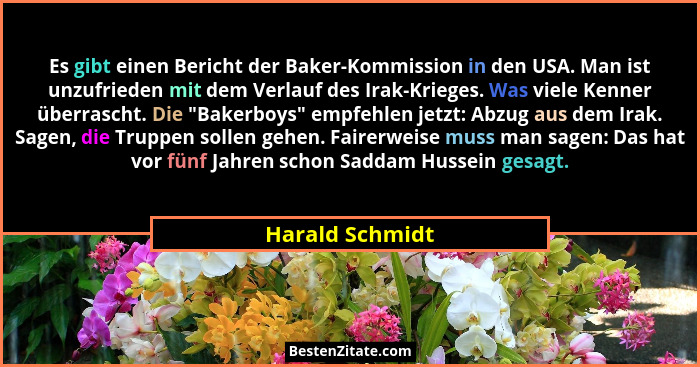 Es gibt einen Bericht der Baker-Kommission in den USA. Man ist unzufrieden mit dem Verlauf des Irak-Krieges. Was viele Kenner überras... - Harald Schmidt