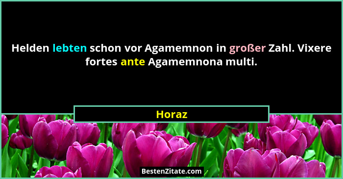 Helden lebten schon vor Agamemnon in großer Zahl. Vixere fortes ante Agamemnona multi.... - Horaz