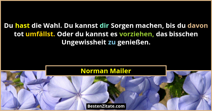 Du hast die Wahl. Du kannst dir Sorgen machen, bis du davon tot umfällst. Oder du kannst es vorziehen, das bisschen Ungewissheit zu ge... - Norman Mailer