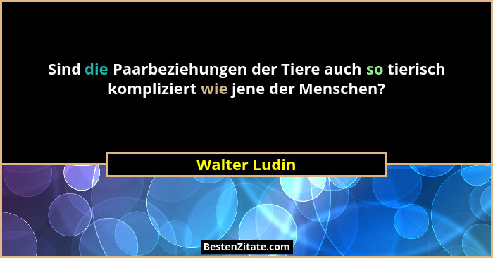 Sind die Paarbeziehungen der Tiere auch so tierisch kompliziert wie jene der Menschen?... - Walter Ludin
