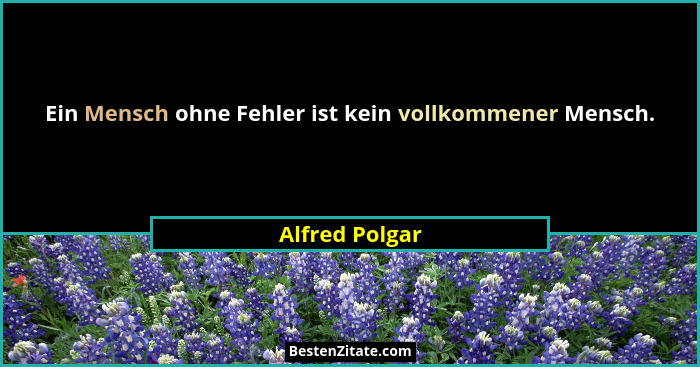Ein Mensch ohne Fehler ist kein vollkommener Mensch.... - Alfred Polgar