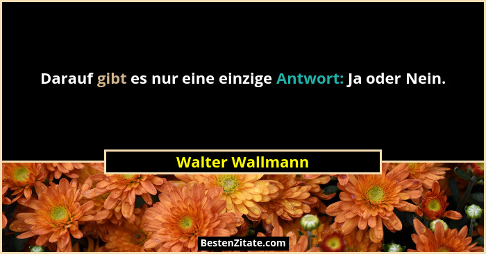 Darauf gibt es nur eine einzige Antwort: Ja oder Nein.... - Walter Wallmann