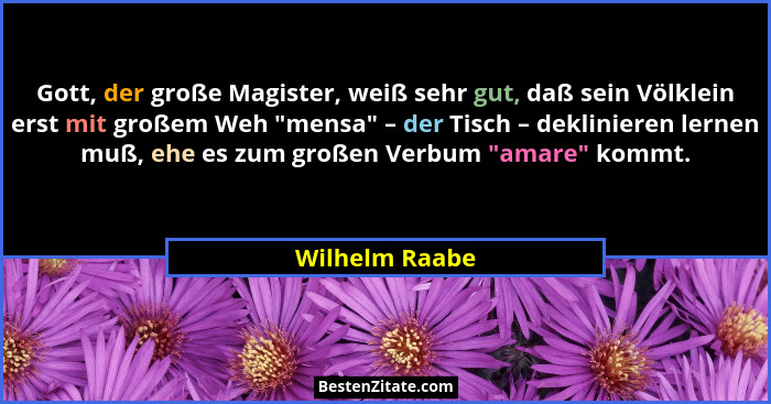 Gott, der große Magister, weiß sehr gut, daß sein Völklein erst mit großem Weh "mensa" – der Tisch – deklinieren lernen muß, e... - Wilhelm Raabe