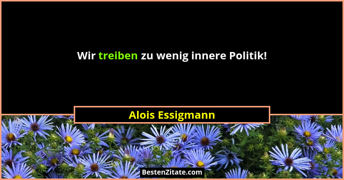 Wir treiben zu wenig innere Politik!... - Alois Essigmann