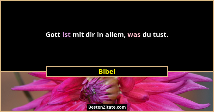 Gott ist mit dir in allem, was du tust.... - Bibel