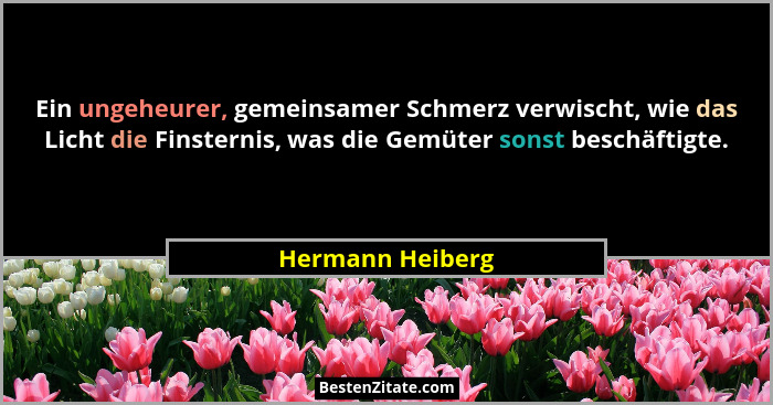 Ein ungeheurer, gemeinsamer Schmerz verwischt, wie das Licht die Finsternis, was die Gemüter sonst beschäftigte.... - Hermann Heiberg