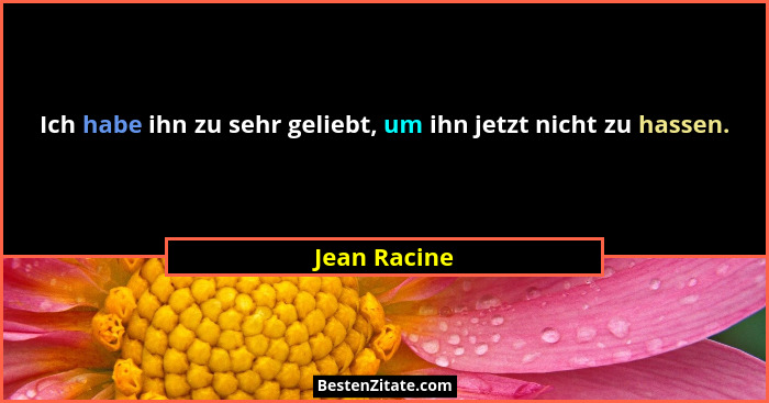 Ich habe ihn zu sehr geliebt, um ihn jetzt nicht zu hassen.... - Jean Racine