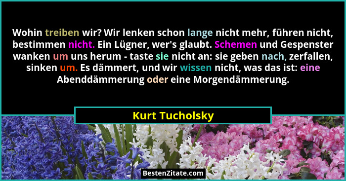 Wohin treiben wir? Wir lenken schon lange nicht mehr, führen nicht, bestimmen nicht. Ein Lügner, wer's glaubt. Schemen und Gespen... - Kurt Tucholsky