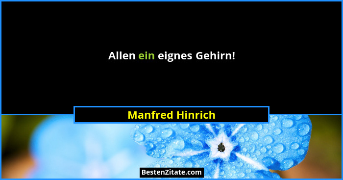 Allen ein eignes Gehirn!... - Manfred Hinrich