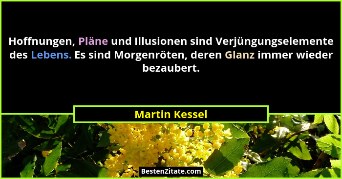 Hoffnungen, Pläne und Illusionen sind Verjüngungselemente des Lebens. Es sind Morgenröten, deren Glanz immer wieder bezaubert.... - Martin Kessel
