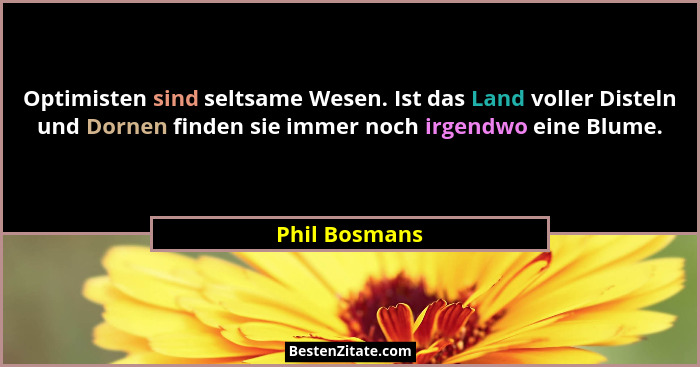 Optimisten sind seltsame Wesen. Ist das Land voller Disteln und Dornen finden sie immer noch irgendwo eine Blume.... - Phil Bosmans