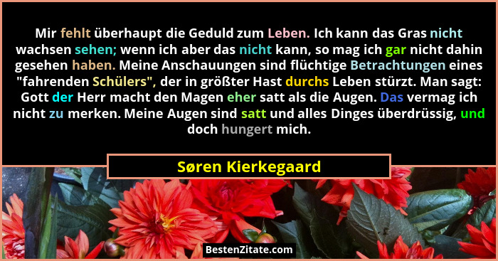 Mir fehlt überhaupt die Geduld zum Leben. Ich kann das Gras nicht wachsen sehen; wenn ich aber das nicht kann, so mag ich gar nich... - Søren Kierkegaard
