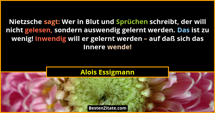 Nietzsche sagt: Wer in Blut und Sprüchen schreibt, der will nicht gelesen, sondern auswendig gelernt werden. Das ist zu wenig! Inwen... - Alois Essigmann