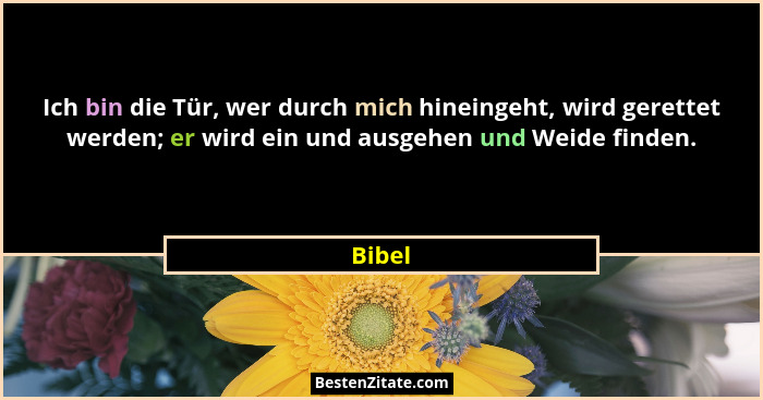 Ich bin die Tür, wer durch mich hineingeht, wird gerettet werden; er wird ein und ausgehen und Weide finden.... - Bibel