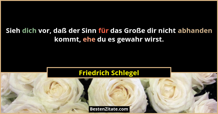 Sieh dich vor, daß der Sinn für das Große dir nicht abhanden kommt, ehe du es gewahr wirst.... - Friedrich Schlegel