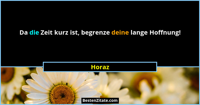 Da die Zeit kurz ist, begrenze deine lange Hoffnung!... - Horaz