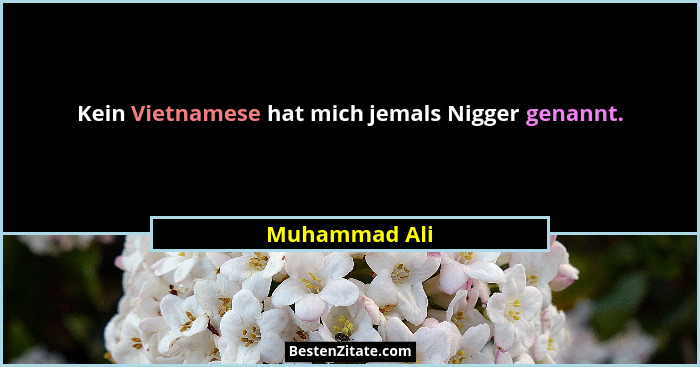 Kein Vietnamese hat mich jemals Nigger genannt.... - Muhammad Ali