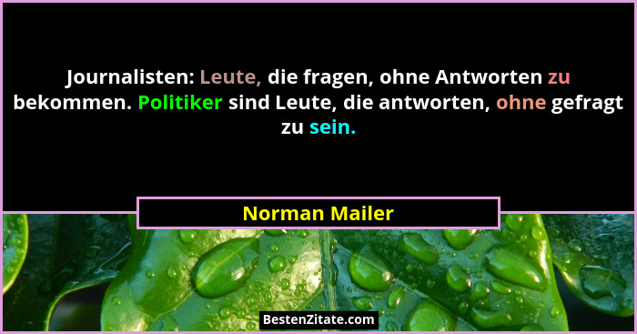 Journalisten: Leute, die fragen, ohne Antworten zu bekommen. Politiker sind Leute, die antworten, ohne gefragt zu sein.... - Norman Mailer