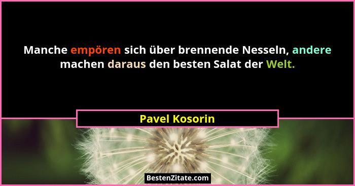 Manche empören sich über brennende Nesseln, andere machen daraus den besten Salat der Welt.... - Pavel Kosorin