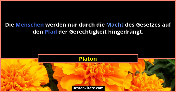 Die Menschen werden nur durch die Macht des Gesetzes auf den Pfad der Gerechtigkeit hingedrängt.... - Platon