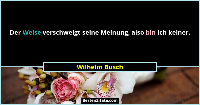 Der Weise verschweigt seine Meinung, also bin ich keiner.... - Wilhelm Busch
