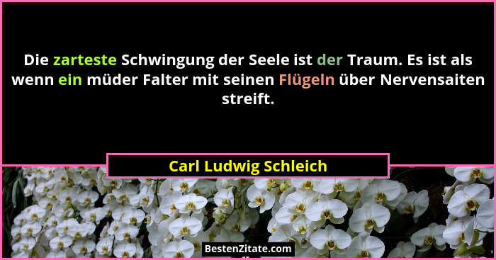 Die zarteste Schwingung der Seele ist der Traum. Es ist als wenn ein müder Falter mit seinen Flügeln über Nervensaiten streift.... - Carl Ludwig Schleich