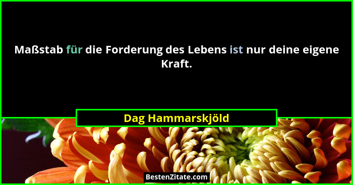 Maßstab für die Forderung des Lebens ist nur deine eigene Kraft.... - Dag Hammarskjöld