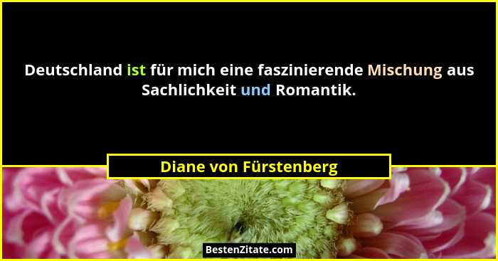 Deutschland ist für mich eine faszinierende Mischung aus Sachlichkeit und Romantik.... - Diane von Fürstenberg