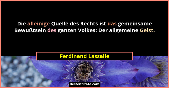 Die alleinige Quelle des Rechts ist das gemeinsame Bewußtsein des ganzen Volkes: Der allgemeine Geist.... - Ferdinand Lassalle