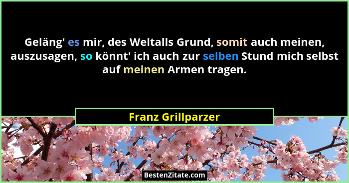 Geläng' es mir, des Weltalls Grund, somit auch meinen, auszusagen, so könnt' ich auch zur selben Stund mich selbst auf mei... - Franz Grillparzer