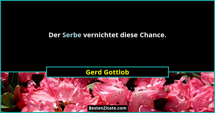 Der Serbe vernichtet diese Chance.... - Gerd Gottlob