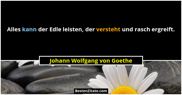 Alles kann der Edle leisten, der versteht und rasch ergreift.... - Johann Wolfgang von Goethe