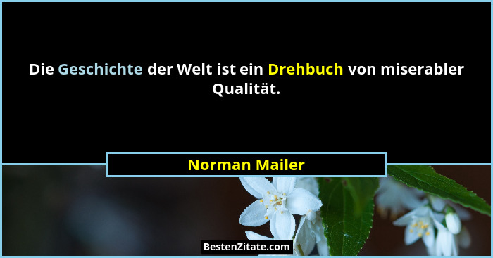 Die Geschichte der Welt ist ein Drehbuch von miserabler Qualität.... - Norman Mailer