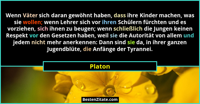 Wenn Väter sich daran gewöhnt haben, dass ihre Kinder machen, was sie wollen; wenn Lehrer sich vor ihren Schülern fürchten und es vorziehen,... - Platon