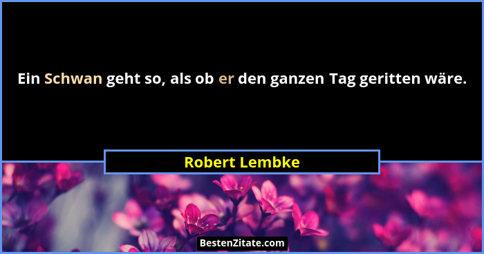 Ein Schwan geht so, als ob er den ganzen Tag geritten wäre.... - Robert Lembke