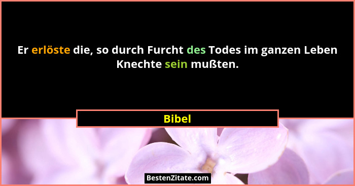 Er erlöste die, so durch Furcht des Todes im ganzen Leben Knechte sein mußten.... - Bibel