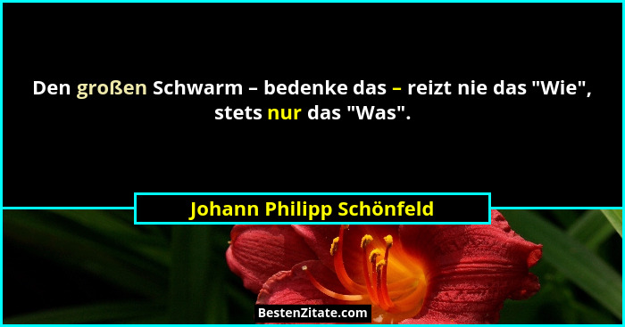 Den großen Schwarm – bedenke das – reizt nie das "Wie", stets nur das "Was".... - Johann Philipp Schönfeld