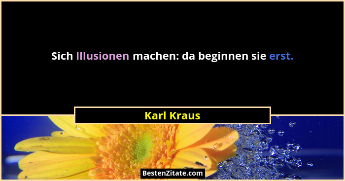 Sich Illusionen machen: da beginnen sie erst.... - Karl Kraus