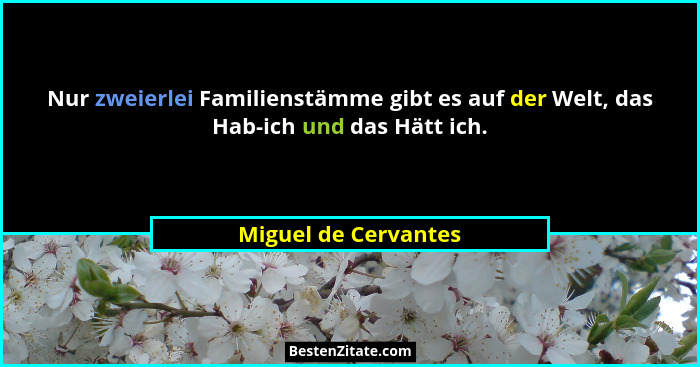 Nur zweierlei Familienstämme gibt es auf der Welt, das Hab-ich und das Hätt ich.... - Miguel de Cervantes