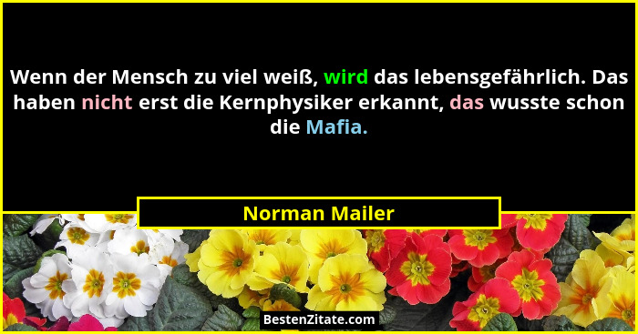 Wenn der Mensch zu viel weiß, wird das lebensgefährlich. Das haben nicht erst die Kernphysiker erkannt, das wusste schon die Mafia.... - Norman Mailer