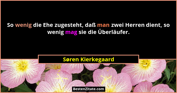 So wenig die Ehe zugesteht, daß man zwei Herren dient, so wenig mag sie die Überläufer.... - Søren Kierkegaard