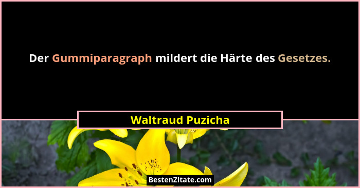 Der Gummiparagraph mildert die Härte des Gesetzes.... - Waltraud Puzicha