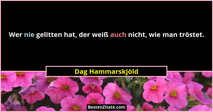 Wer nie gelitten hat, der weiß auch nicht, wie man tröstet.... - Dag Hammarskjöld