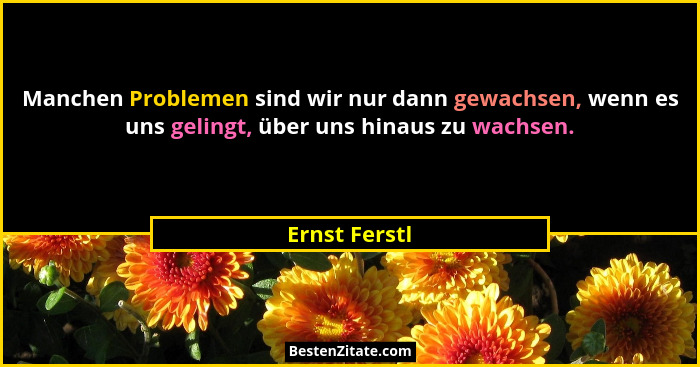 Manchen Problemen sind wir nur dann gewachsen, wenn es uns gelingt, über uns hinaus zu wachsen.... - Ernst Ferstl